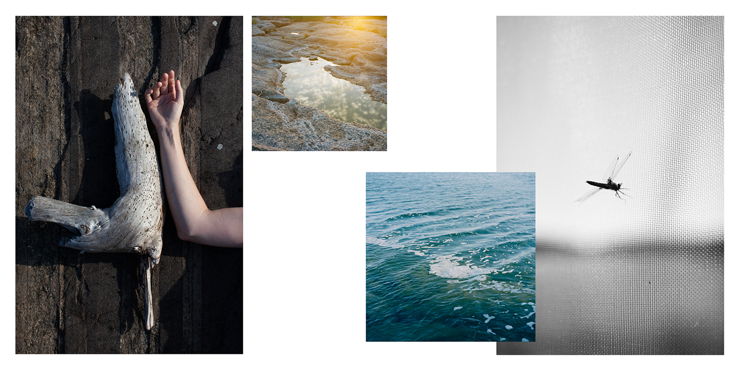 A photo collage including an image of an arm against a tree trunk, two images of small waves on the surface of water and a black and white image of a fly caught in a web.